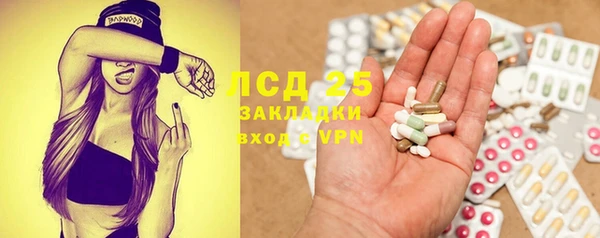 ешки Новозыбков
