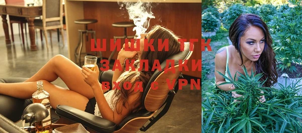 ешки Новозыбков