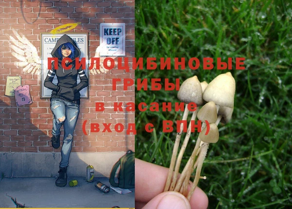 ешки Новозыбков
