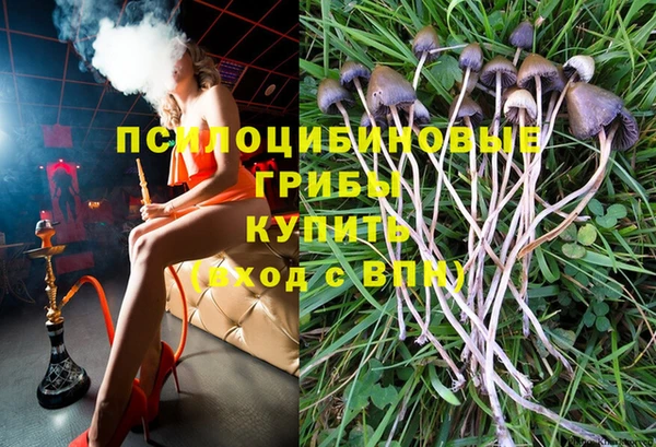a pvp Новодвинск